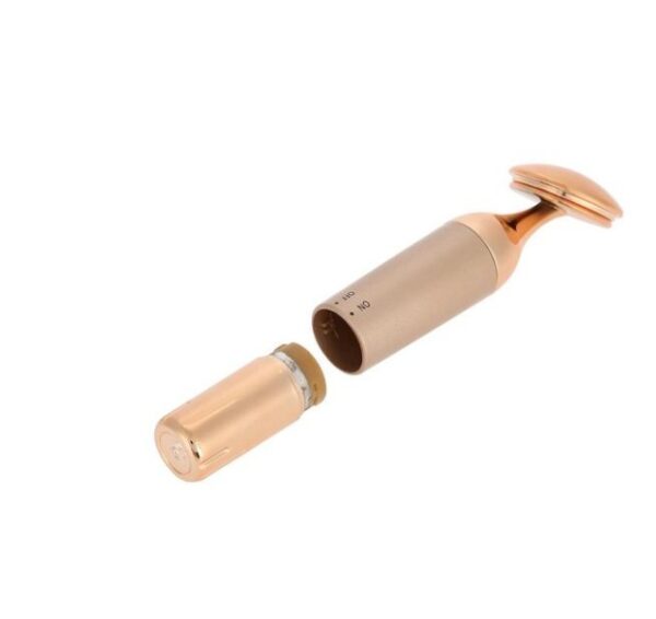 Beauty Equipment Home Electric Facial Importer - Image 4