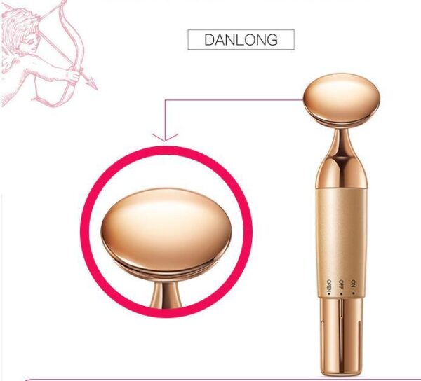 Beauty Equipment Home Electric Facial Importer - Image 7
