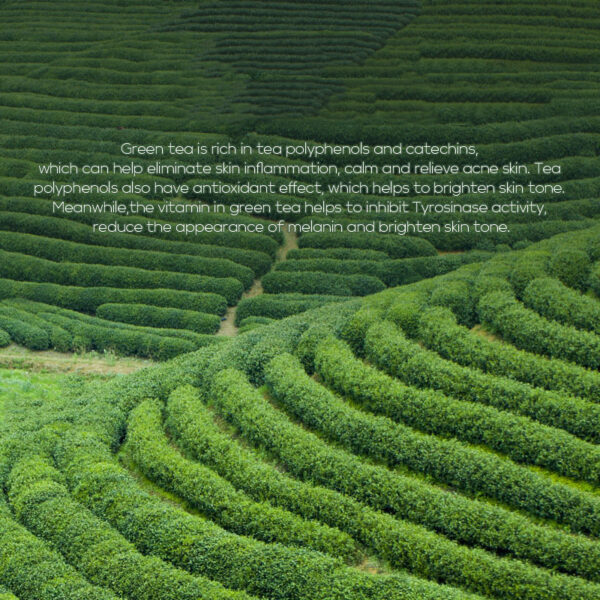 Green Tea Toner 100ml Moisturizing Lotion Skin Care Products - Image 4