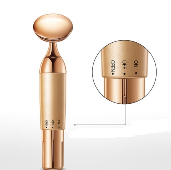 Beauty Equipment Home Electric Facial Importer - Image 3